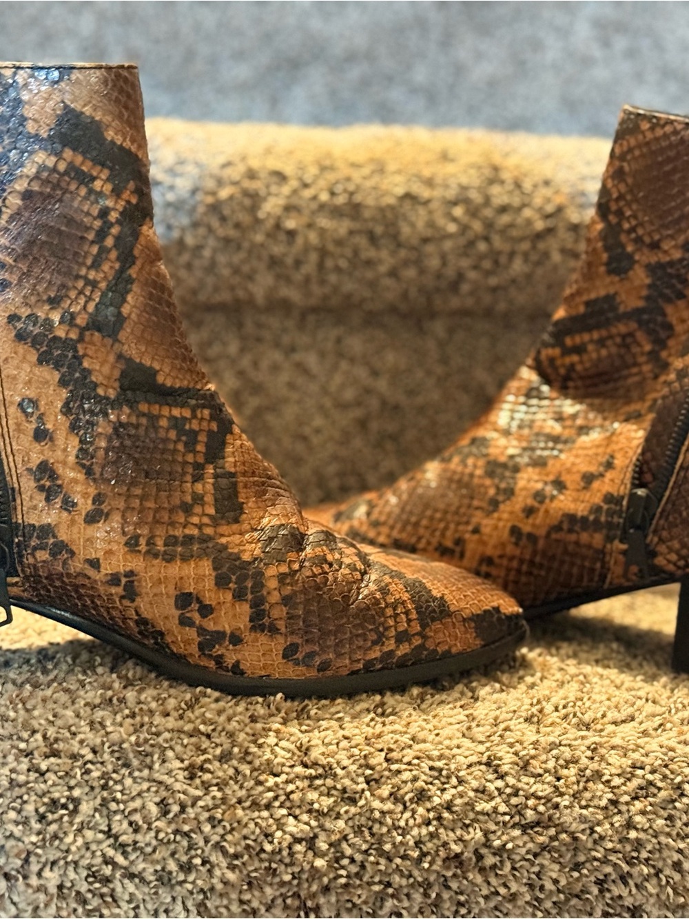 rag & bone Brown Snake-Print Ankle Booties